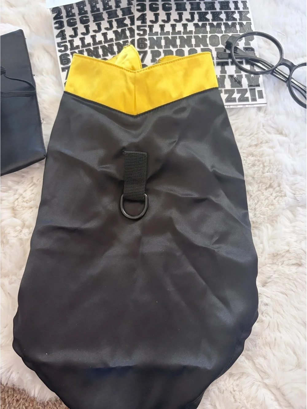 New Huhumy dog graduation outfit
